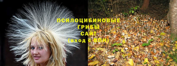 бошки Балабаново