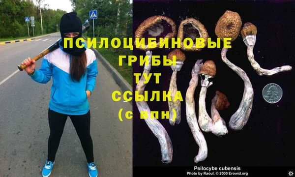прущая мука Баксан