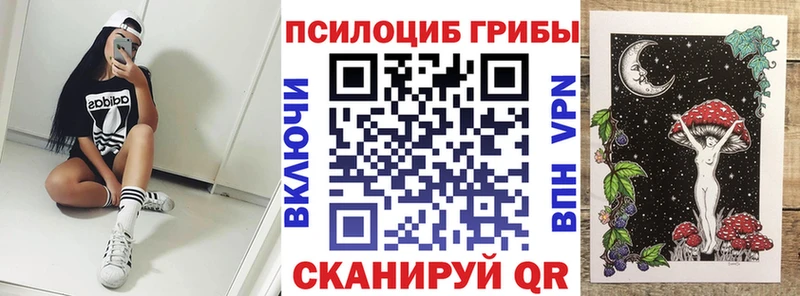Псилоцибиновые грибы Psilocybine cubensis ОМГ ОМГ зеркало Туапсе